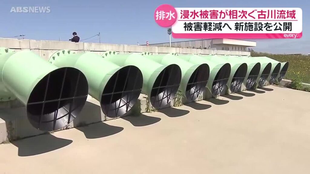 共有