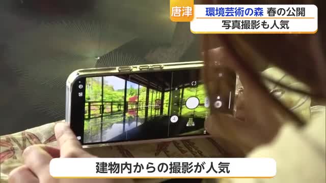唐津市・環境芸術の森が春の公開 モミジやカエデの新緑が見どころ【佐賀県】