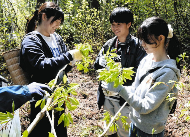 ようこそ「大学村」へ　白峰地域振興 学生８人を歓迎