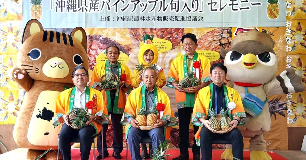 パイン旬入り「おいしいよ」　石垣で宣言、試食会　沖縄