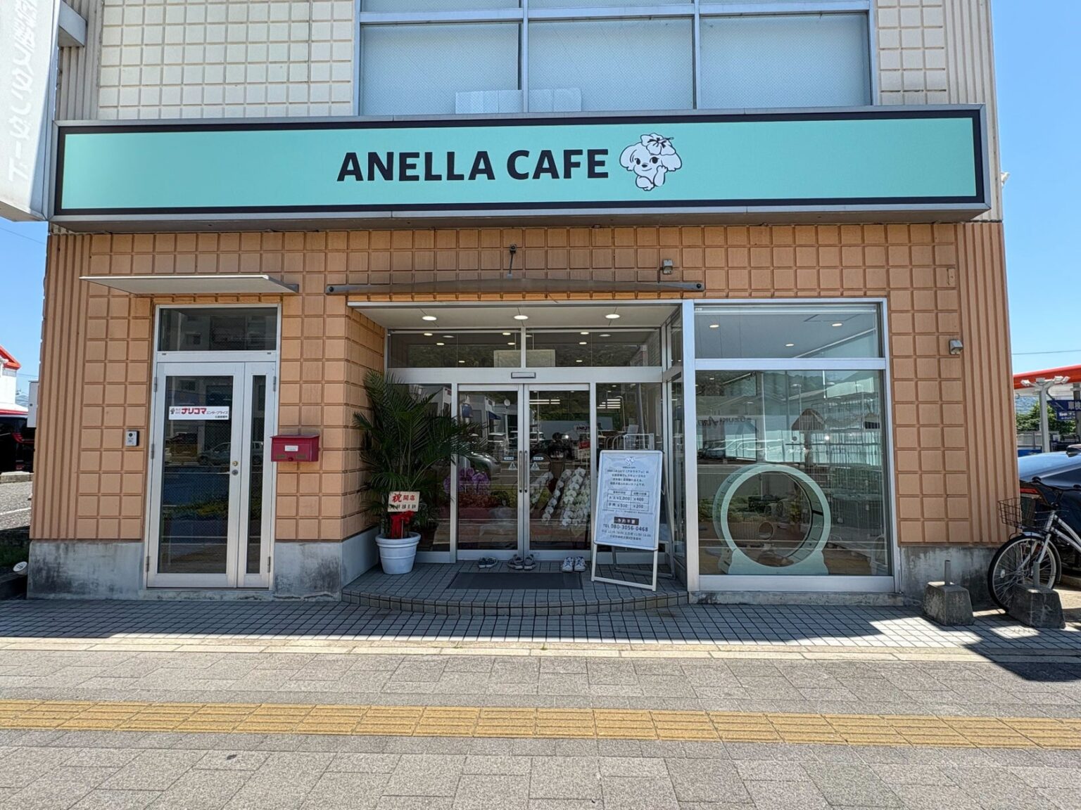 【広島県初出店】動物愛護の先進県・広島に、保護犬猫ふれあいカフェ「ANELLA CAFE（アネラカフェ）」が初上陸。広島緑井店 5月6日(水)オープン！ | 株式会社ANELLA Groupのプレスリリース