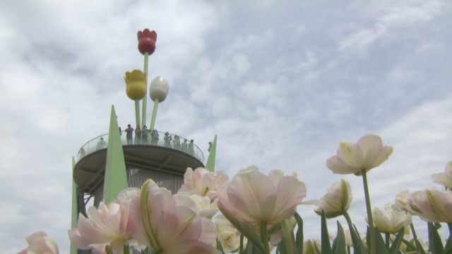 となみチューリップフェア閉幕 29万3千人が来場「外国人客」は過去最多 台湾客が9割占める 富山