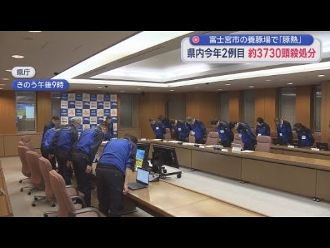 YouTube Video 「人への感染はない」と冷静な対応を呼びかける　静岡・富士宮市の養豚場で「豚熱」の感染を確認