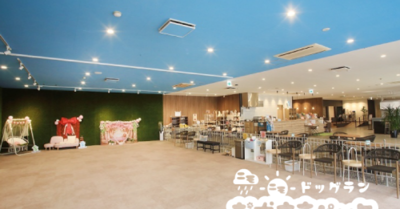 5/30㈯・31㈰【ペットフェスふくしま2026】出店します❣️🐶(2026.05.11) | お犬さまパーク|ドッグラン&カフェ お犬さまパーク 5/30㈯・31㈰【ペットフェスふくしま2026】出店します❣️🐶(2026.05.11) | お犬さまパーク|ドッグラン&カフェ お犬さまパーク