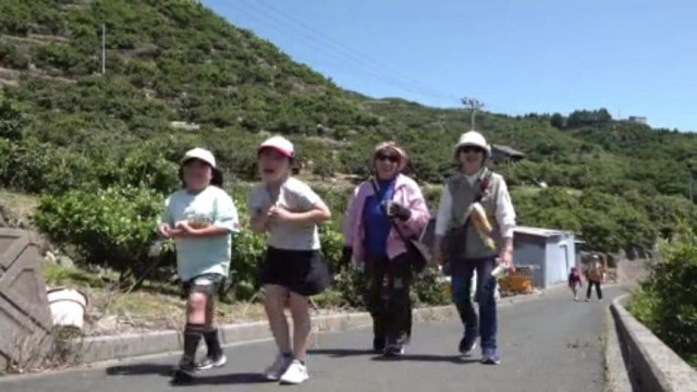 ミカンの段々畑をウォーキング 7年ぶりに復活 愛媛県・八幡浜市