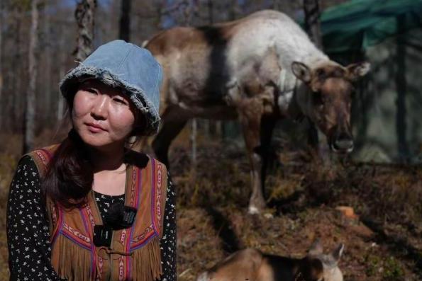 「中国最後のトナカイ遊牧部族」がトナカイの出産ピーク迎える 「中国最後のトナカイ遊牧部族」がトナカイの出産ピーク迎える