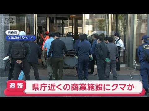 【速報】県庁近くの商業施設にクマか 青森【スーパーJチャンネル】(2026年5月15日) 【速報】県庁近くの商業施設にクマか 青森【スーパーJチャンネル】(2026年5月15日)