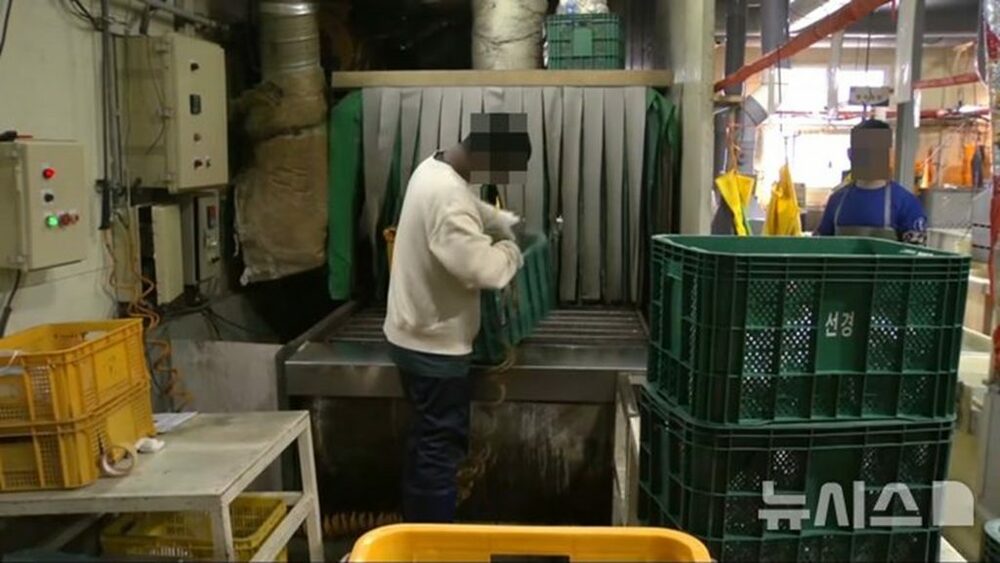 韓国・工場で外国人労働者にエアガン、60代業者代表を特殊傷害などで起訴　写真枚　国際ニュース：AFPBB News
