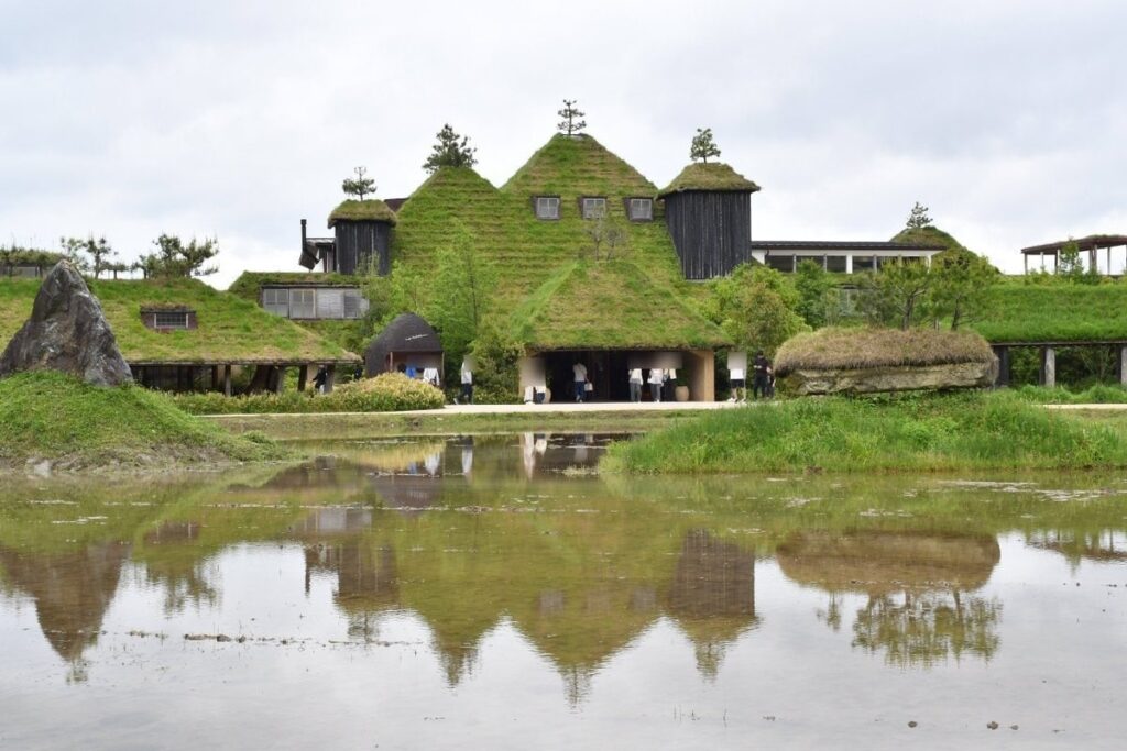 【滋賀県】近江八幡で撮影された「神秘的で美しい場所」に注目集まる　回廊みたいな空間も古代遺跡感たっぷり 日本とは思えない絶景 | LIMO | くらしとお金の経済メディア