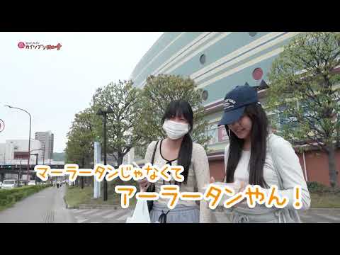 webアミンチュ | 2026/5/21放送・知ったかぶりカイツブリにゅーす | webアミンチュ|Discover滋賀 webアミンチュ | 2026/5/21放送・知ったかぶりカイツブリにゅーす | webアミンチュ|Discover滋賀