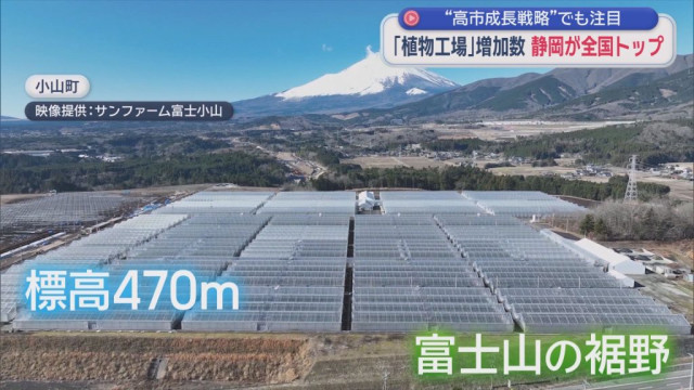 高市政権の成長戦略でも注目される「植物工場」 近年の増加件数は静岡県が全国トップ そのワケは…? (LOOK)|dメニューニュース(NTTドコモ) 高市政権の成長戦略でも注目される「植物工場」 近年の増加件数は静岡県が全国トップ そのワケは…?