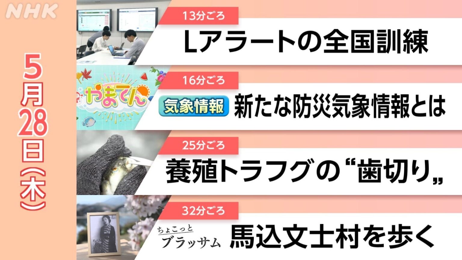 【見逃し配信】ちょこっとブラッサム 宇野千代 青春の舞台 馬込文士村を歩く 5/28(木)情報維新!やまぐち 【見逃し配信】ちょこっとブラッサム 宇野千代 青春の舞台 馬込文士村を歩く 5/28(木)情報維新!やまぐち