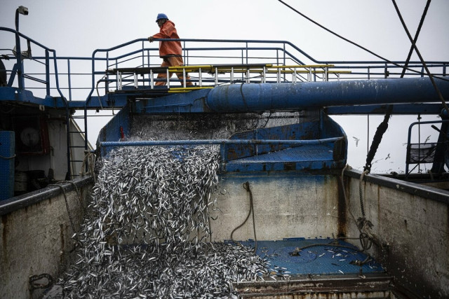 ペルー、アンチョビー禁漁を延長−海水温上昇でエルニーニョ懸念