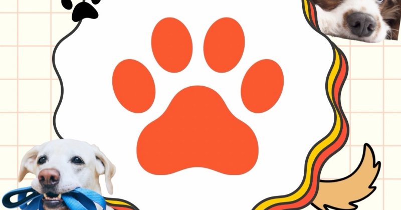 わんちゃん連れの来場者さま🐶?お友達🐶と遊びたい、お散歩したい🐕犬種別オフ会には当てはまってないけど同じ犬種同士集まれたらい…(2026.05.29) | ペットフェスふくしま2026 わんちゃん連れの来場者さま🐶?お友達🐶と遊びたい、お散歩したい🐕犬種別オフ会には当てはまってないけど同じ犬種同士集まれたらい...(2026.05.29) | ペットフェスふくしま2026
