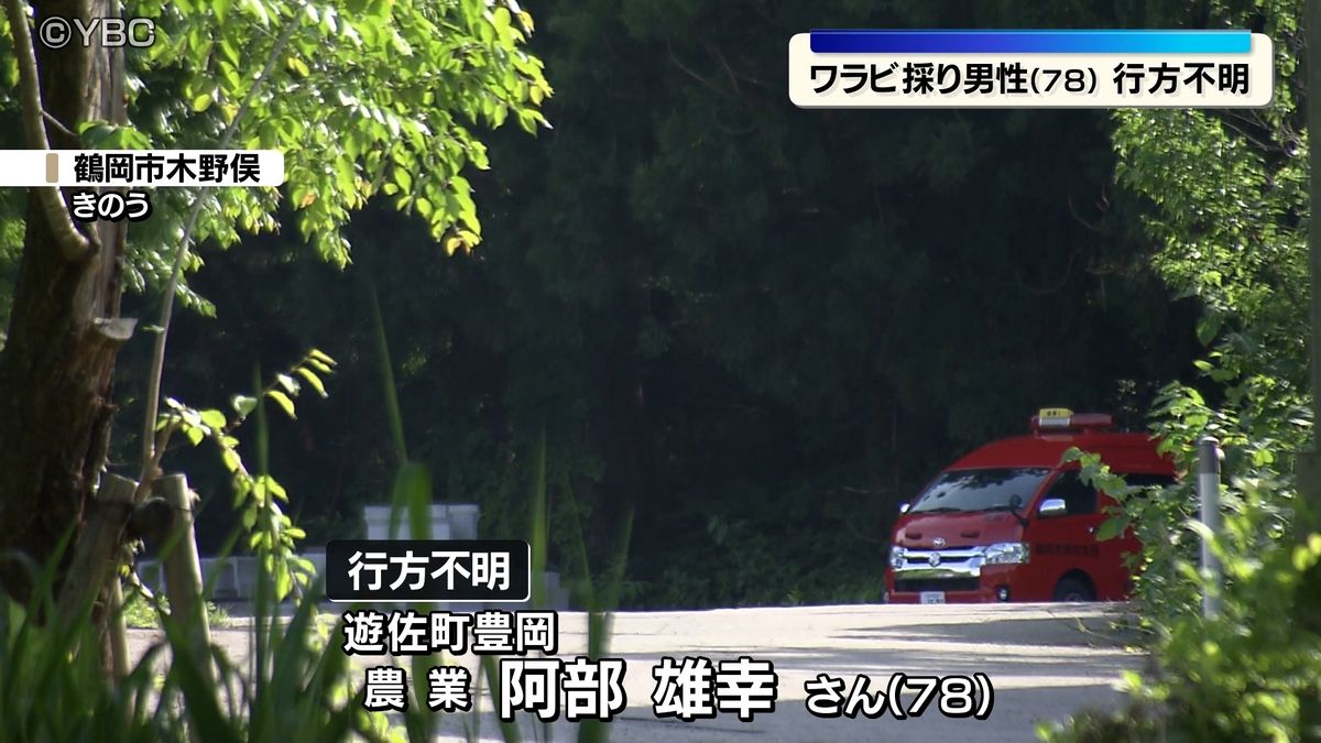 観光ワラビ園で70代の男性が行方不明　前日に引き続き5月28日も捜索続く　山形県鶴岡市