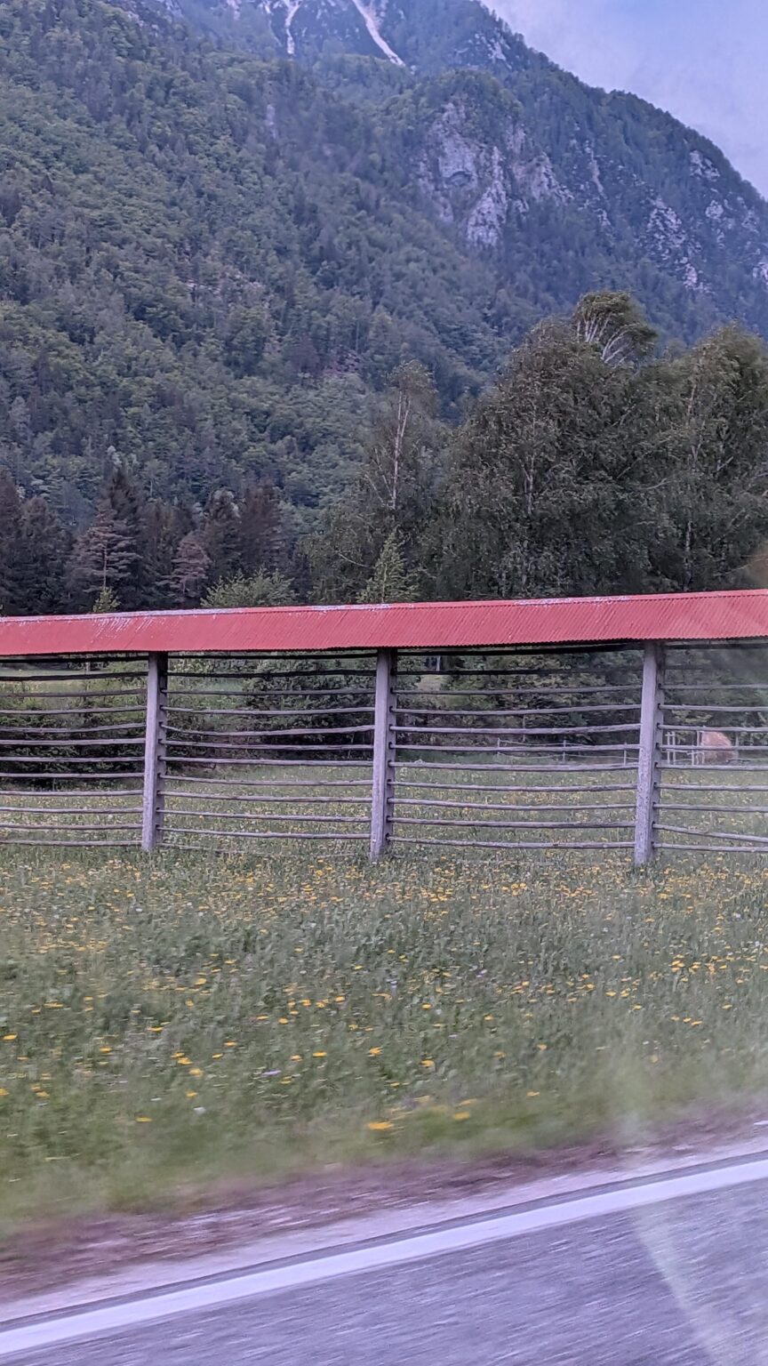 この木の柱は何のためにあるのでしょうか？