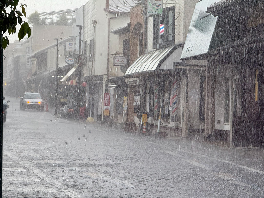 ５月１３日の雨の画像