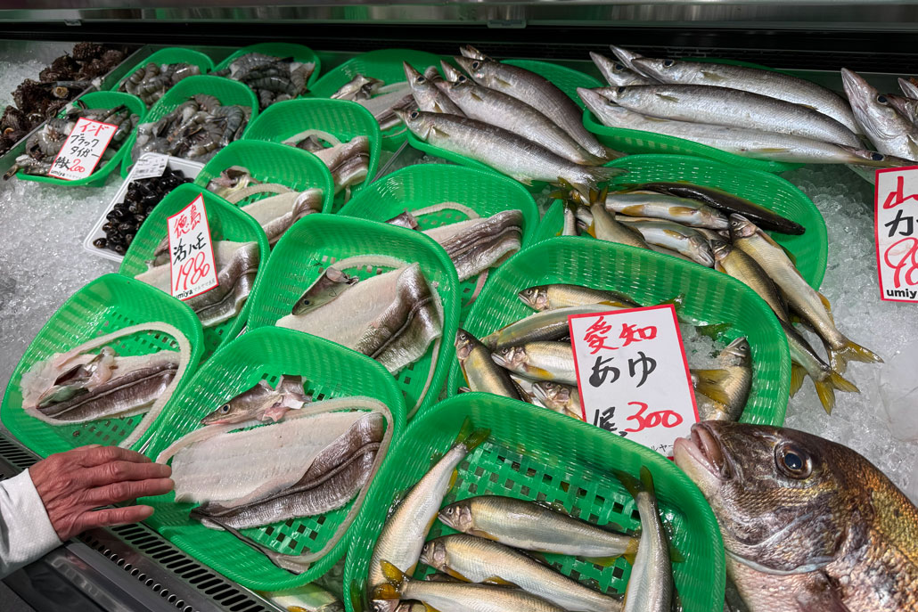 umiya マルヤマ水産　店内の魚画像２