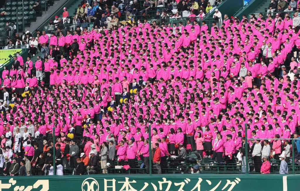 【高校野球】春季栃木大会　文星芸大付が9回一挙7得点でセンバツ出場の佐野日大下す - スポニチ Sponichi Annex 野球
