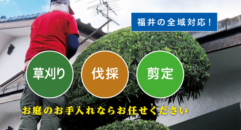 お庭の大将福井店 ／福井で新展開！草刈り・庭木剪定・庭木伐採など、 お庭のお困りごとを解決する新サービス「お庭の大将」を開始！ - 無料プレスリリース「PR-FREE」