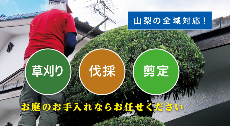 お庭の大将山梨店 ／山梨で新展開！草刈り・庭木剪定・庭木伐採など、 お庭のお困りごとを解決する新サービス「お庭の大将」を開始！ - 無料プレスリリース「PR-FREE」