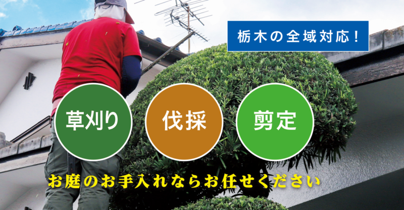 お庭の大将栃木店 ／栃木で新展開！草刈り・庭木剪定・庭木伐採など、 お庭のお困りごとを解決する新サービス「お庭の大将」を開始！ - 無料プレスリリース「PR-FREE」