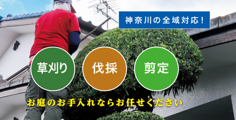 お庭の大将神奈川・横浜店 ／神奈川・横浜で新展開！草刈り・庭木剪定・庭木伐採など、 お庭のお困りごとを解決する新サービス「お庭の大将」を開始！ - 無料プレスリリース「PR-FREE」