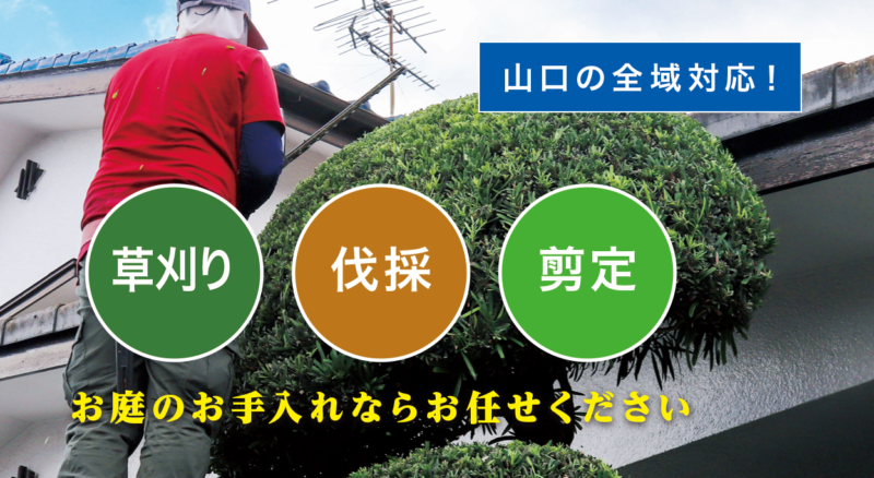お庭の大将山口店 ／山口で新展開！草刈り・庭木剪定・庭木伐採など、 お庭のお困りごとを解決する新サービス「お庭の大将」を開始！ - 無料プレスリリース「PR-FREE」