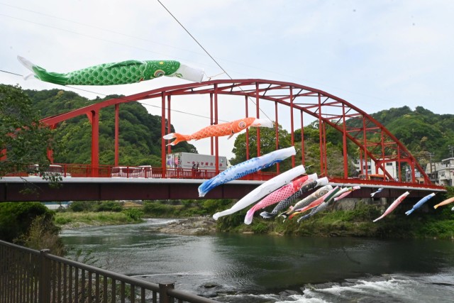 こいのぼり悠々と泳ぐ　修善寺橋に今年も―伊豆 / 伊豆新聞デジタル