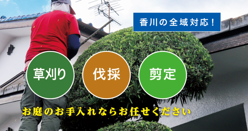 お庭の大将香川店 ／香川で新展開！草刈り・庭木剪定・庭木伐採など、 お庭のお困りごとを解決する新サービス「お庭の大将」を開始！ - 無料プレスリリース「PR-FREE」