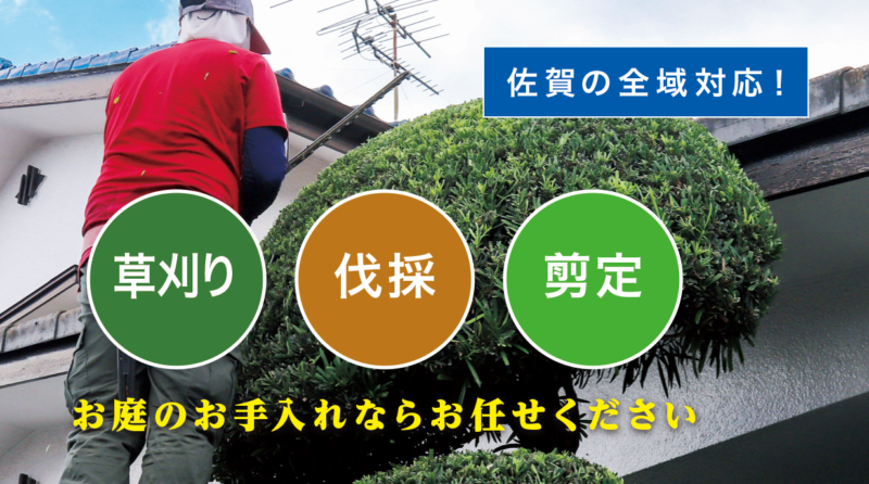 お庭の大将佐賀店 ／佐賀で新展開！草刈り・庭木剪定・庭木伐採など、 お庭のお困りごとを解決する新サービス「お庭の大将」を開始！ - 無料プレスリリース「PR-FREE」