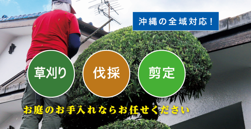 お庭の大将沖縄店 ／沖縄で新展開！草刈り・庭木剪定・庭木伐採など、 お庭のお困りごとを解決する新サービス「お庭の大将」を開始！ - 無料プレスリリース「PR-FREE」