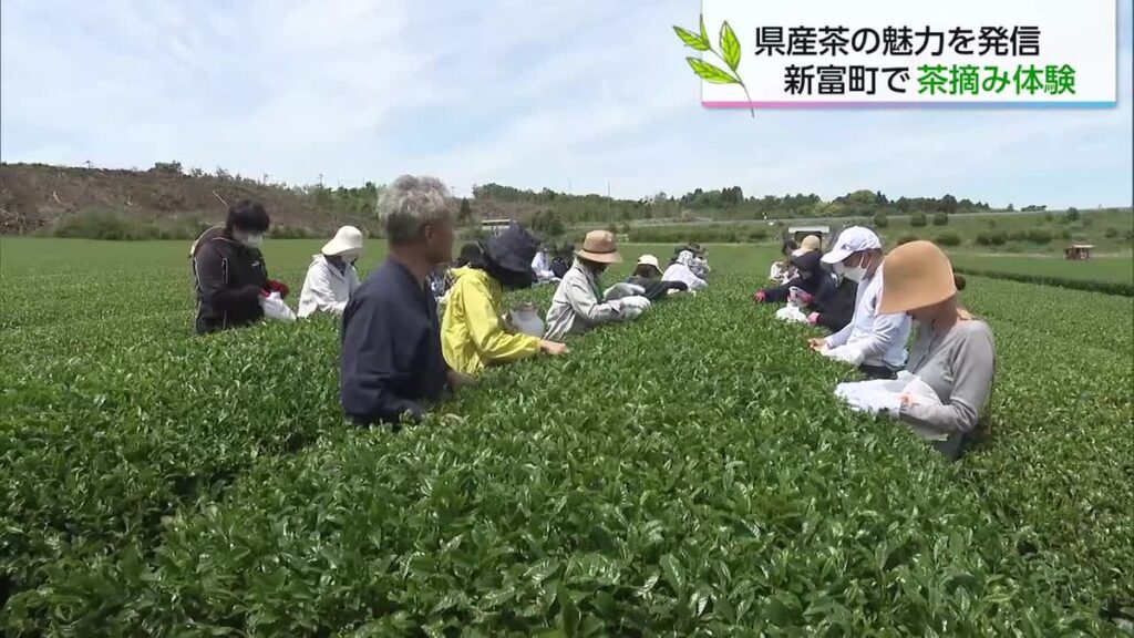 共有