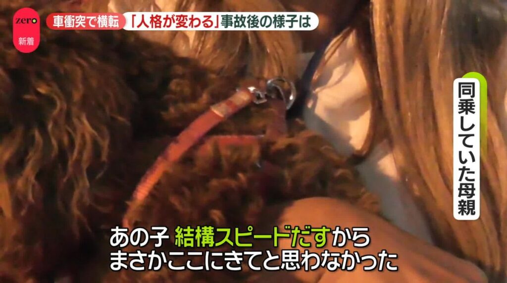 日本テレビ放送網