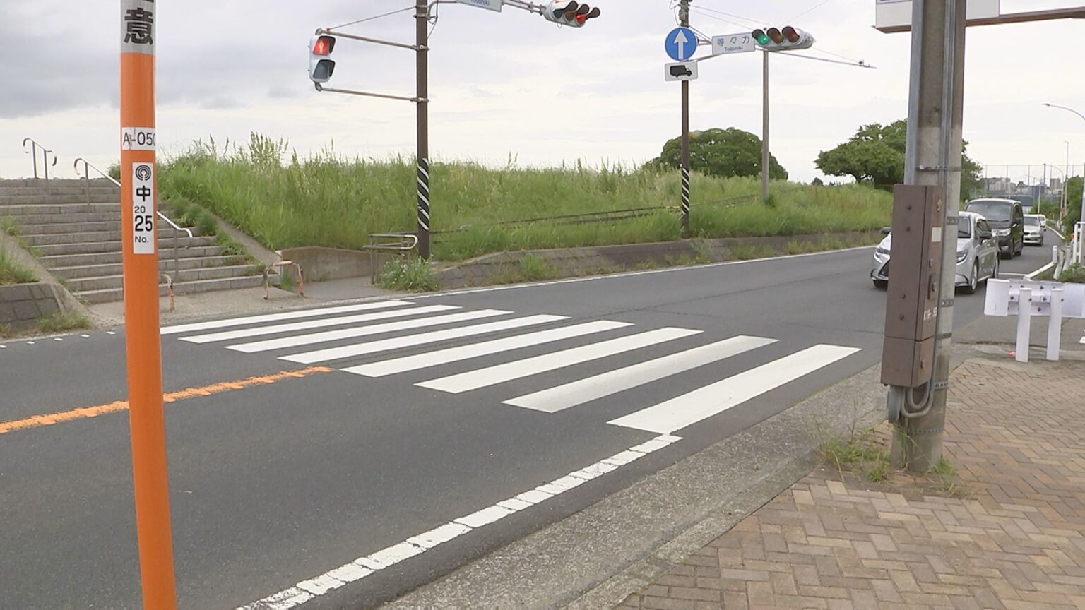 神奈川・川崎市の路上で50代女性が死亡　近くの横断歩道に自転車が…死亡ひき逃げ事件として捜査　神奈川県警（TBS NEWS DIG Powered by JNN）
