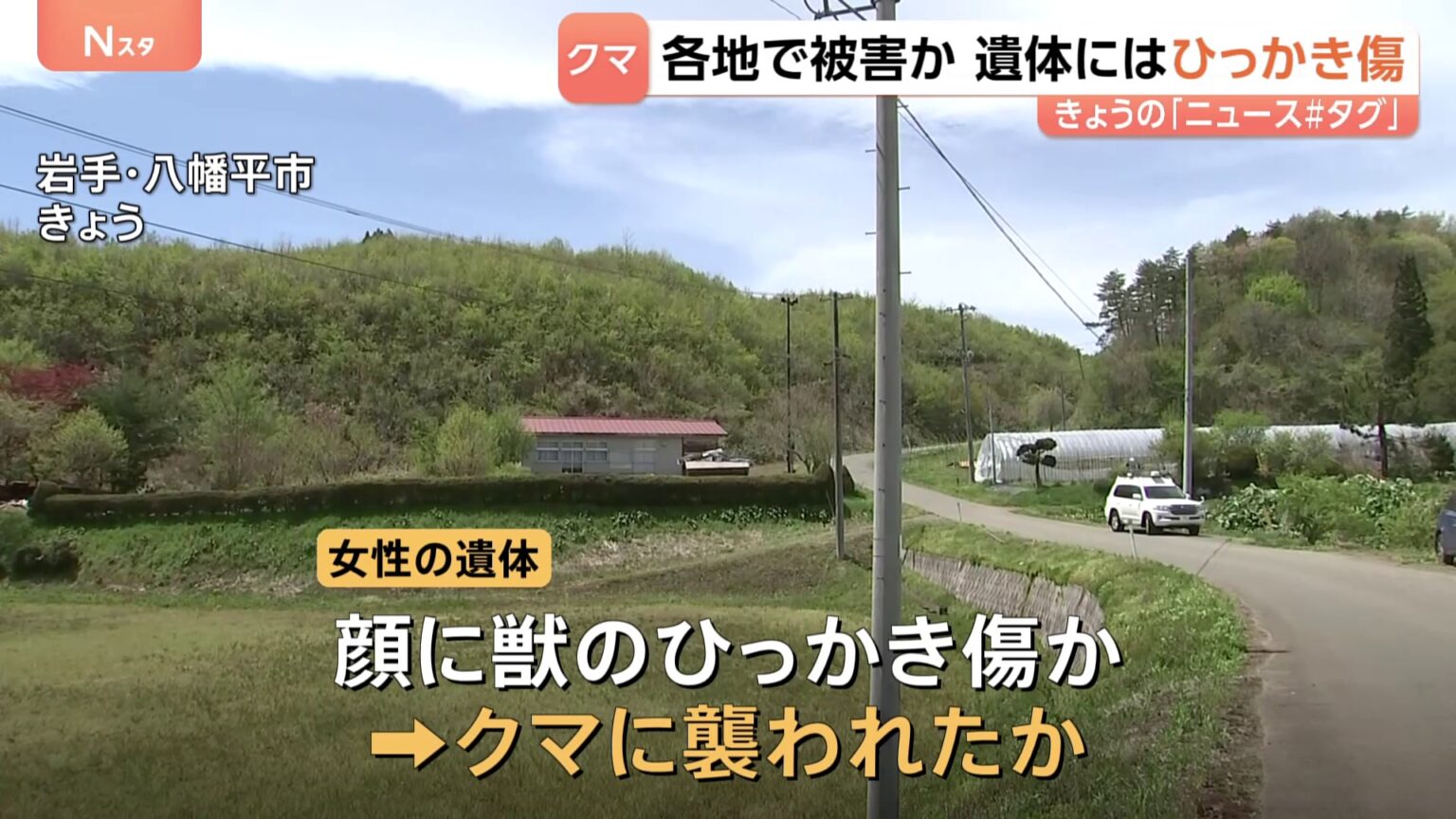 各地でクマ出没 岩手で女性遺体 クマに襲われたか 遺体に“ひっかき傷”　山形では男性が体長約1mのクマに襲われる　顔や体にケガも命に別状なし（TBS NEWS DIG Powered by JNN）