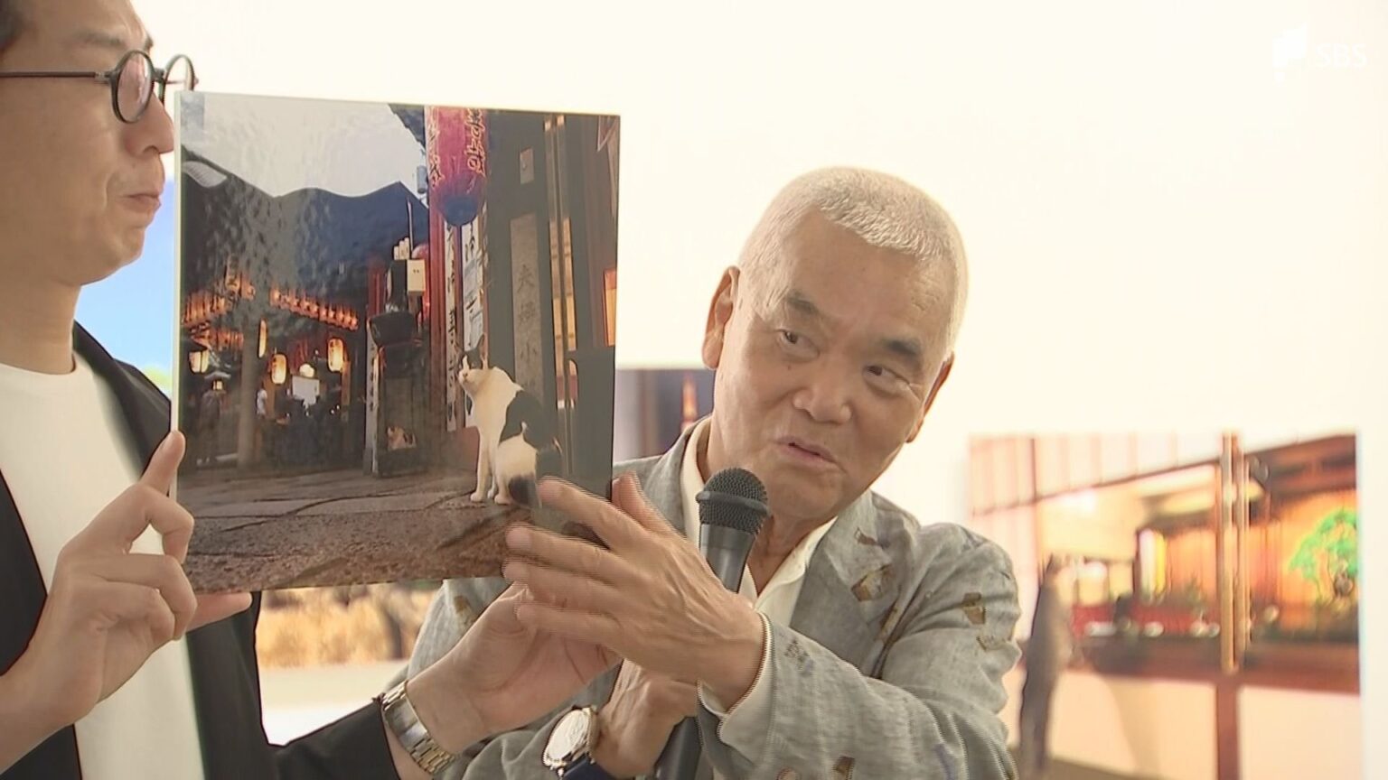 あふれるネコ愛...動物写真家・岩合光昭さんのギャラリートーク 三島市の美術館で「ご当地ねこ」の写真展=静岡（静岡放送（SBS）） - Yahoo!ニュース
