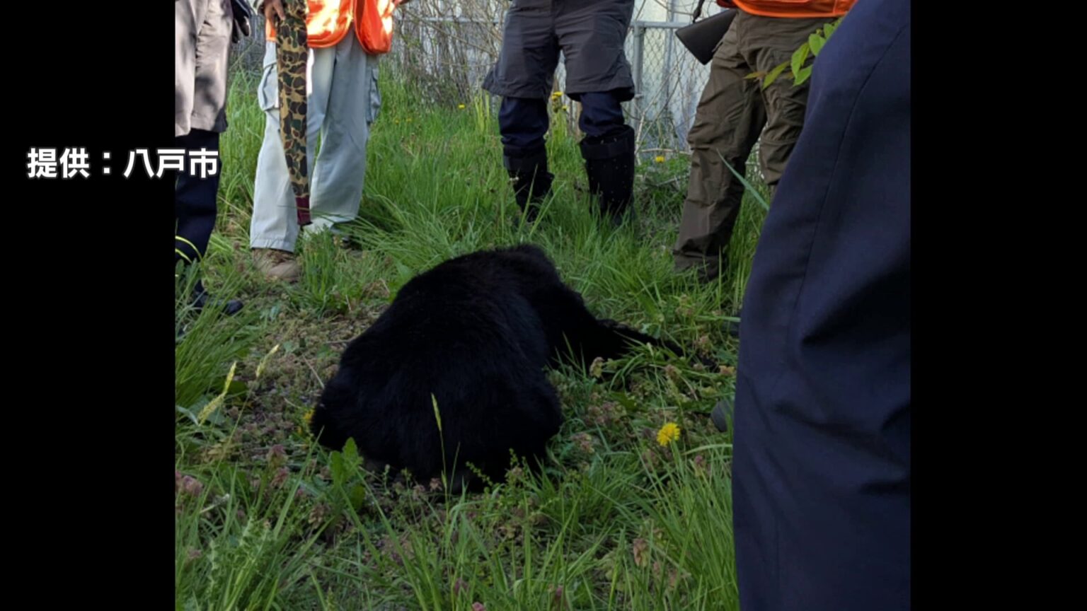 「弾が外れると飛んでいく」青森県で初の緊急銃猟 猟友会のハンターが語る“発砲の難しさ” 生活圏に相次ぐクマ出没(TBS NEWS DIG Powered by JNN) 「弾が外れると飛んでいく」青森県で初の緊急銃猟 猟友会のハンターが語る“発砲の難しさ” 生活圏に相次ぐクマ出没(TBS NEWS DIG Powered by JNN)