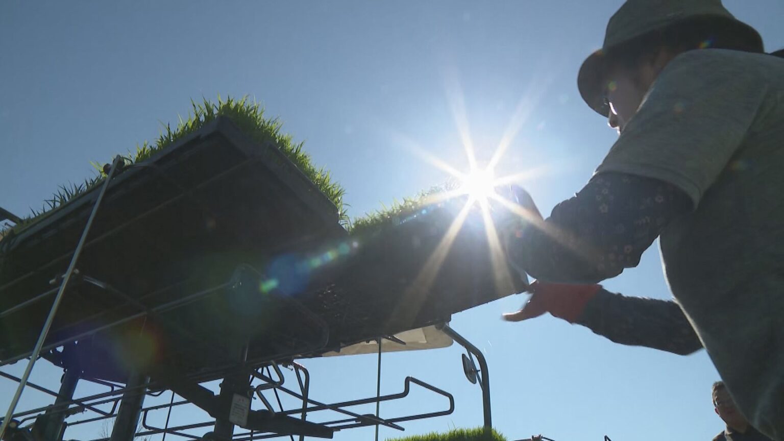 米どころ 北海道東川町で『ゆめぴりか』の田植え始まる「コメに困らないよう、おいしいコメをたくさん作りたい」（HBCニュース北海道） - Yahoo!ニュース
