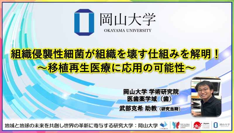 岡山大学 ／組織侵襲性細菌が組織を壊す仕組みを解明！～移植再生医療に応用の可能性～ - 無料プレスリリース「PR-FREE」