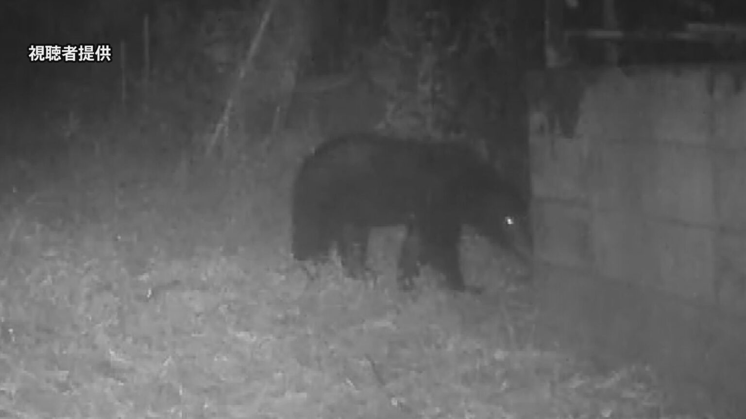 東京・八王子などでハンターがクマのパトロールを実施　春のパトロールは初めて（TBS NEWS DIG Powered by JNN）