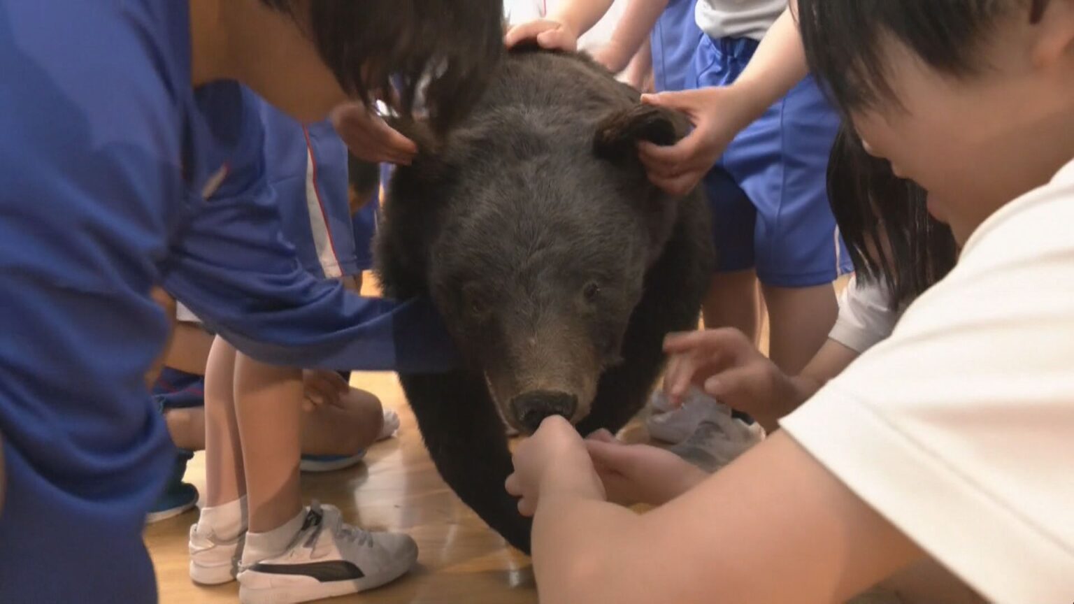 外国人観光客がクマに襲われて負傷… 地元の学校でクマの勉強会 「自分の身を自分で守れるような人に」 岐阜・白川村（CBCテレビ） - Yahoo!ニュース