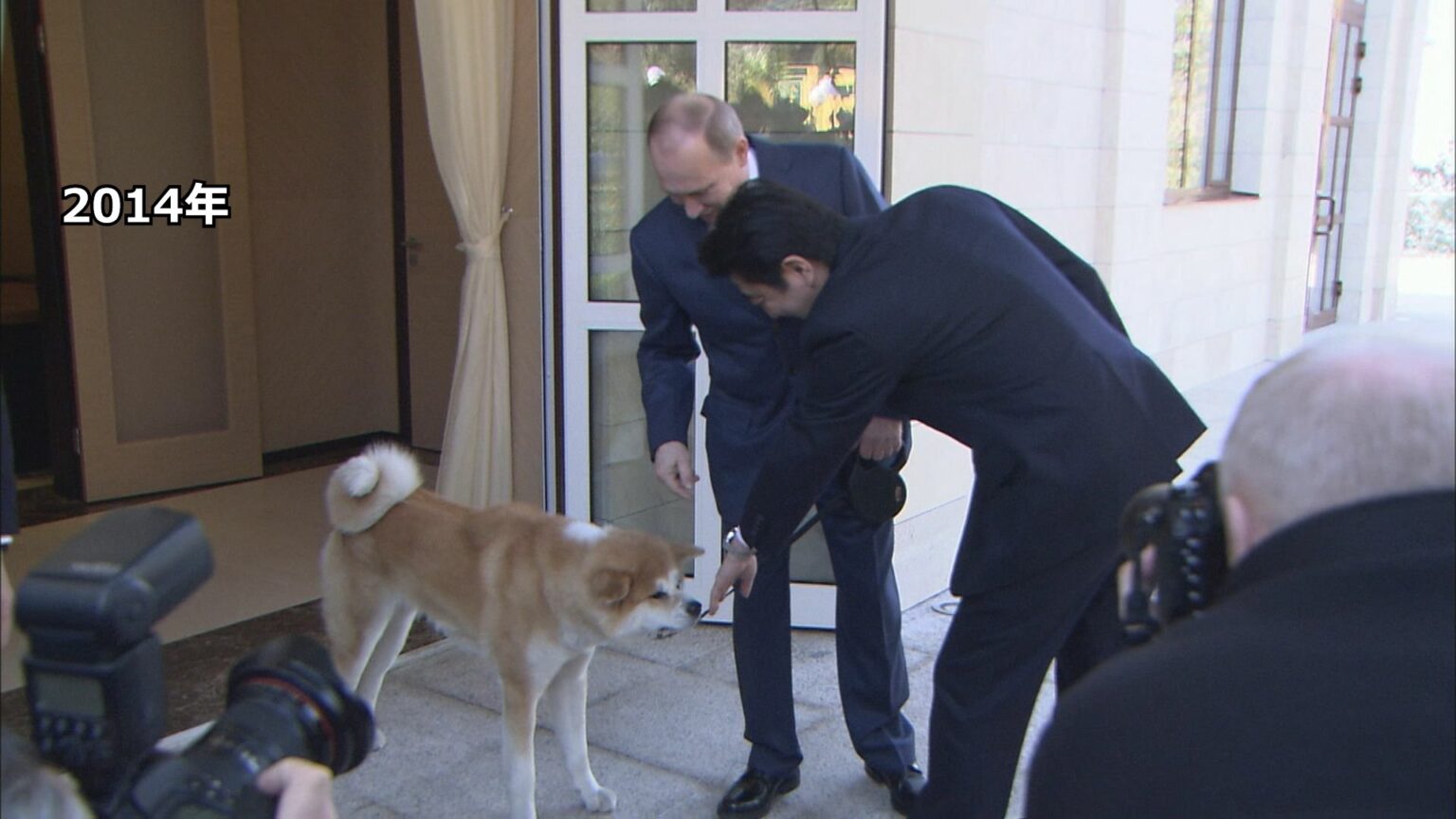 ロシア・プーチン大統領に贈られた秋田犬「ゆめ」が去年、老衰のため天国へ　ロシア大統領府（TBS NEWS DIG Powered by JNN）