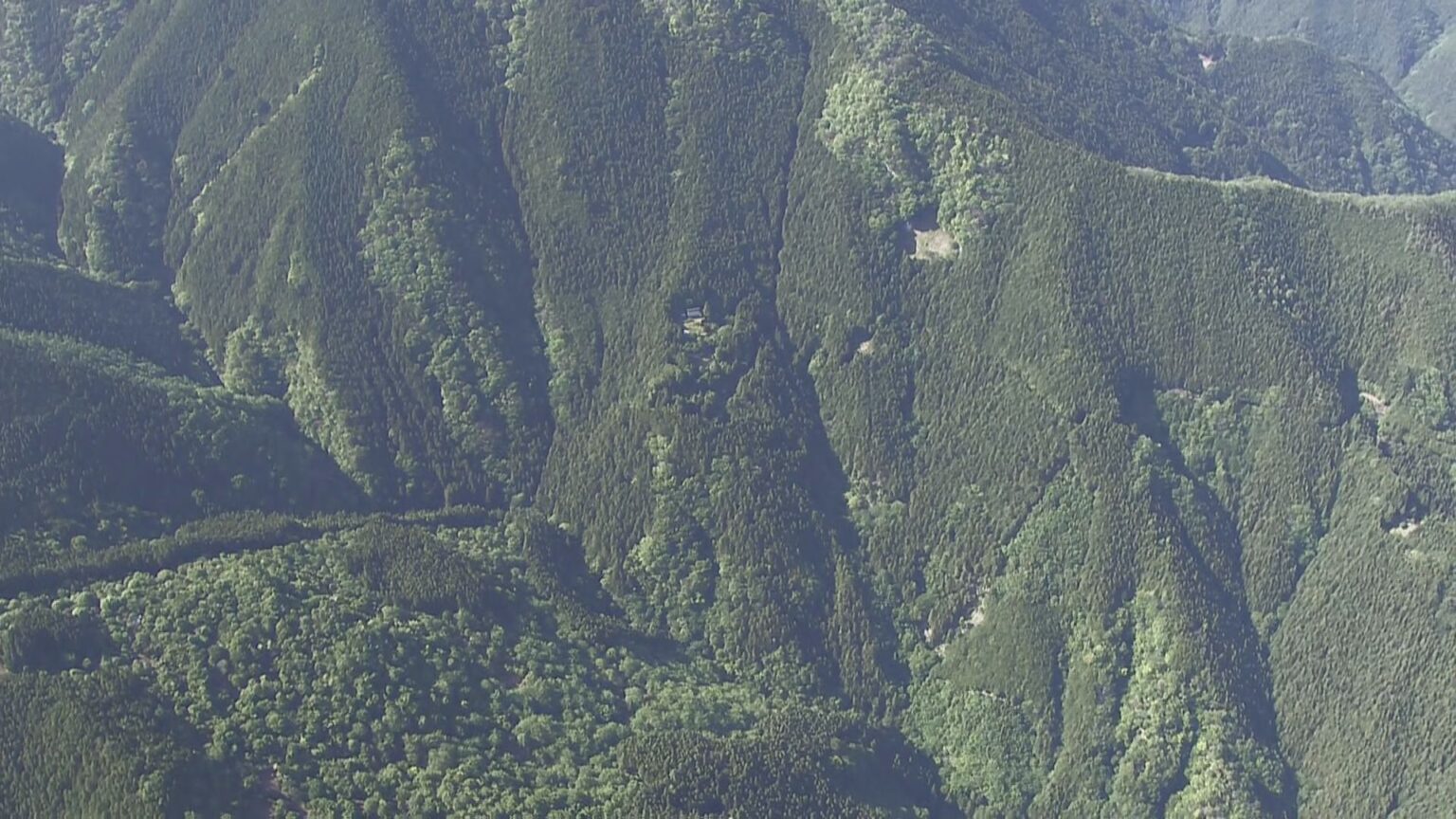【速報】登山中にクマに襲われ重傷　ロシア国籍の30代男性が腕や頭などけが　東京・奥多摩町　警視庁（TBS NEWS DIG Powered by JNN）