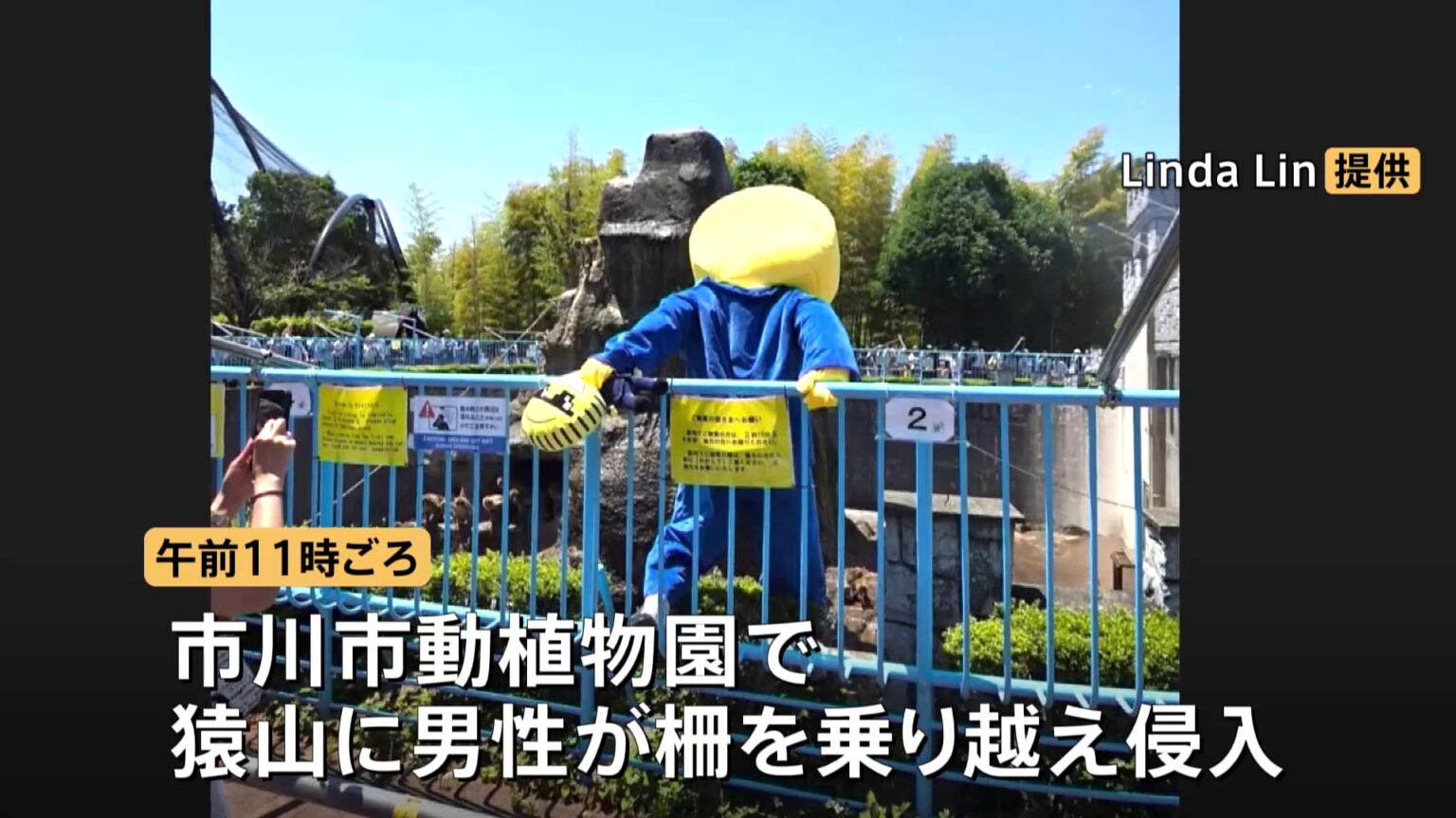 パンチくんの猿山に着ぐるみを着た男性が柵を乗り越え侵入　2人を警察に引き渡す　自称アメリカ国籍と話す　千葉・市川市（TBS NEWS DIG Powered by JNN）