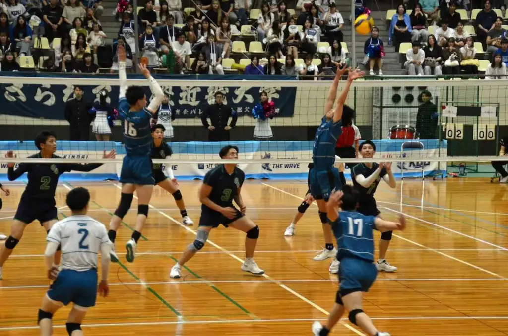 関西大学バレー　男子は近大が大産大を下して全勝優勝　女子は関大が帝塚山大にストレート勝ち - スポニチ Sponichi Annex スポーツ