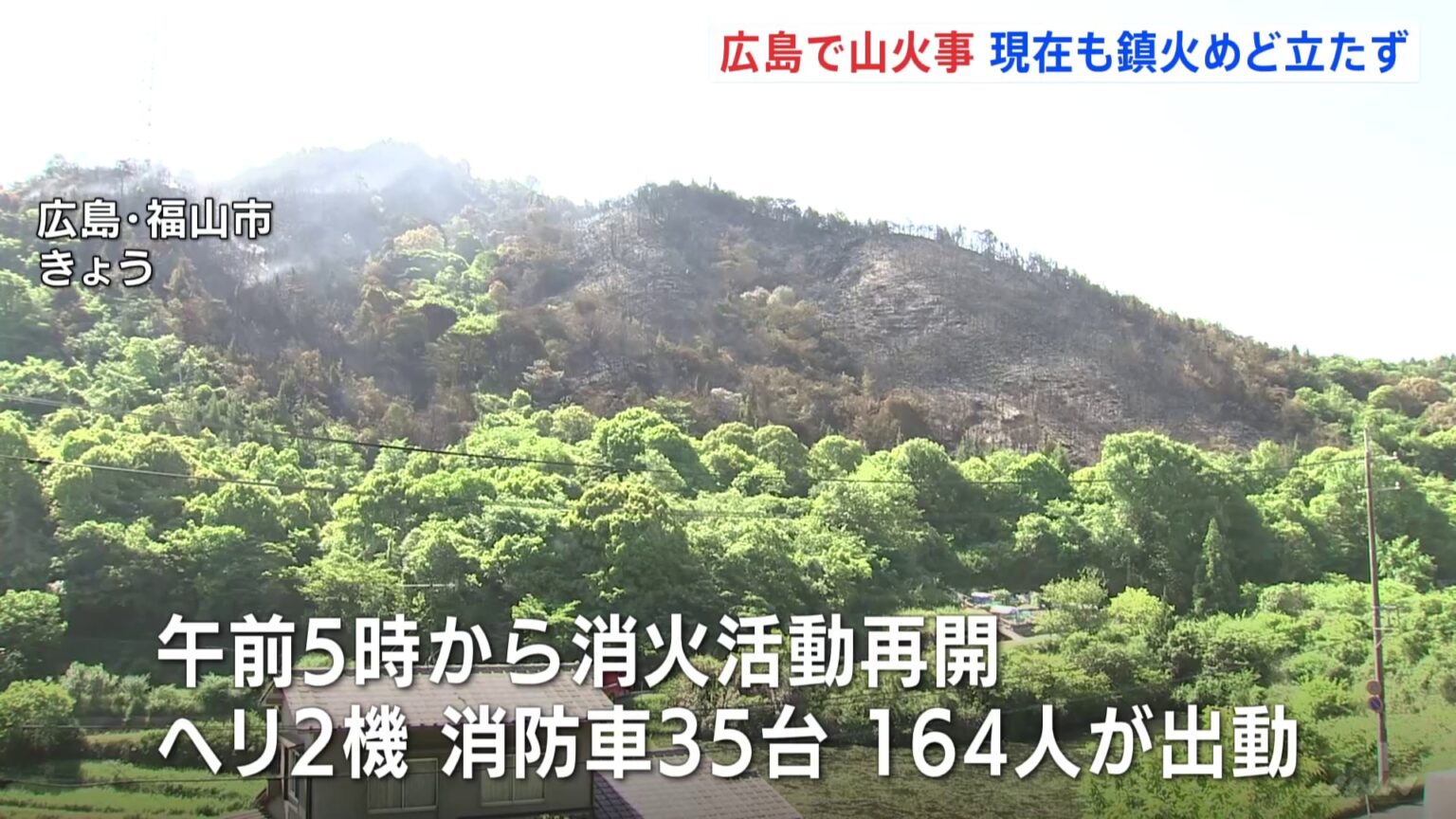 広島・福山市の山火事 鎮火のめど立たず 少なくとも15ヘクタールが焼損(TBS NEWS DIG Powered by JNN) 広島・福山市の山火事 鎮火のめど立たず 少なくとも15ヘクタールが焼損(TBS NEWS DIG Powered by JNN)