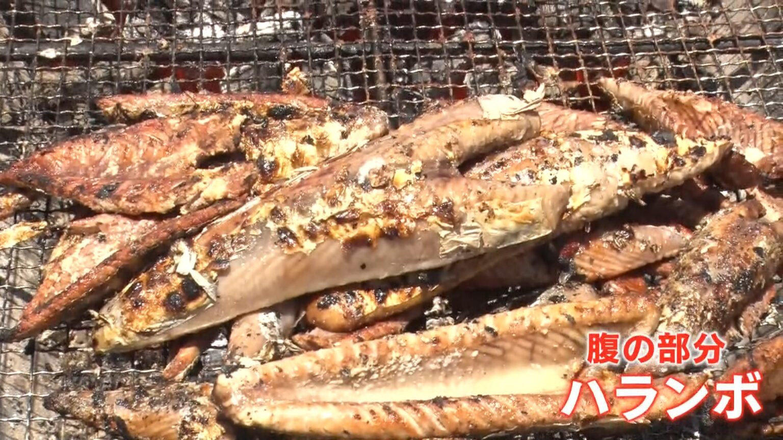 今が旬！初カツオが安い 「去年より200～300円くらい安く提供できている」 燃料高騰で打撃も…豊漁の高知では大行列！ 地元で人気の「ハランボ」とは（TBS NEWS DIG Powered by JNN）