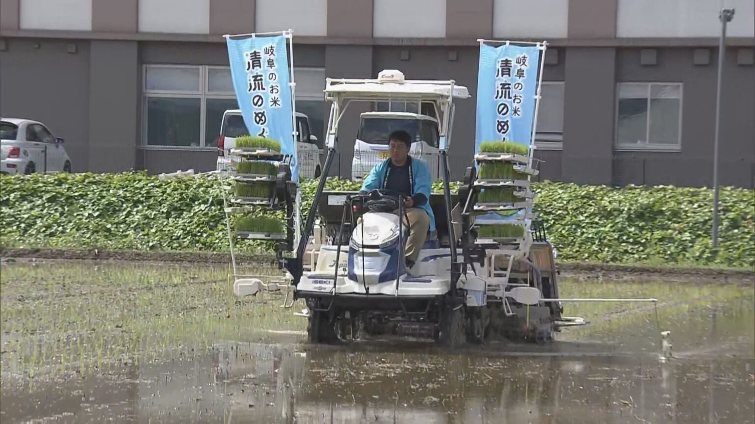 猛暑や強風に強いコメ 「生産者にとってかなりメリットに」 安定したコメ作りのために開発 “清流のめぐみ”(CBCテレビ) – Yahoo!ニュース 猛暑や強風に強いコメ 「生産者にとってかなりメリットに」 安定したコメ作りのために開発 “清流のめぐみ”(CBCテレビ) - Yahoo!ニュース