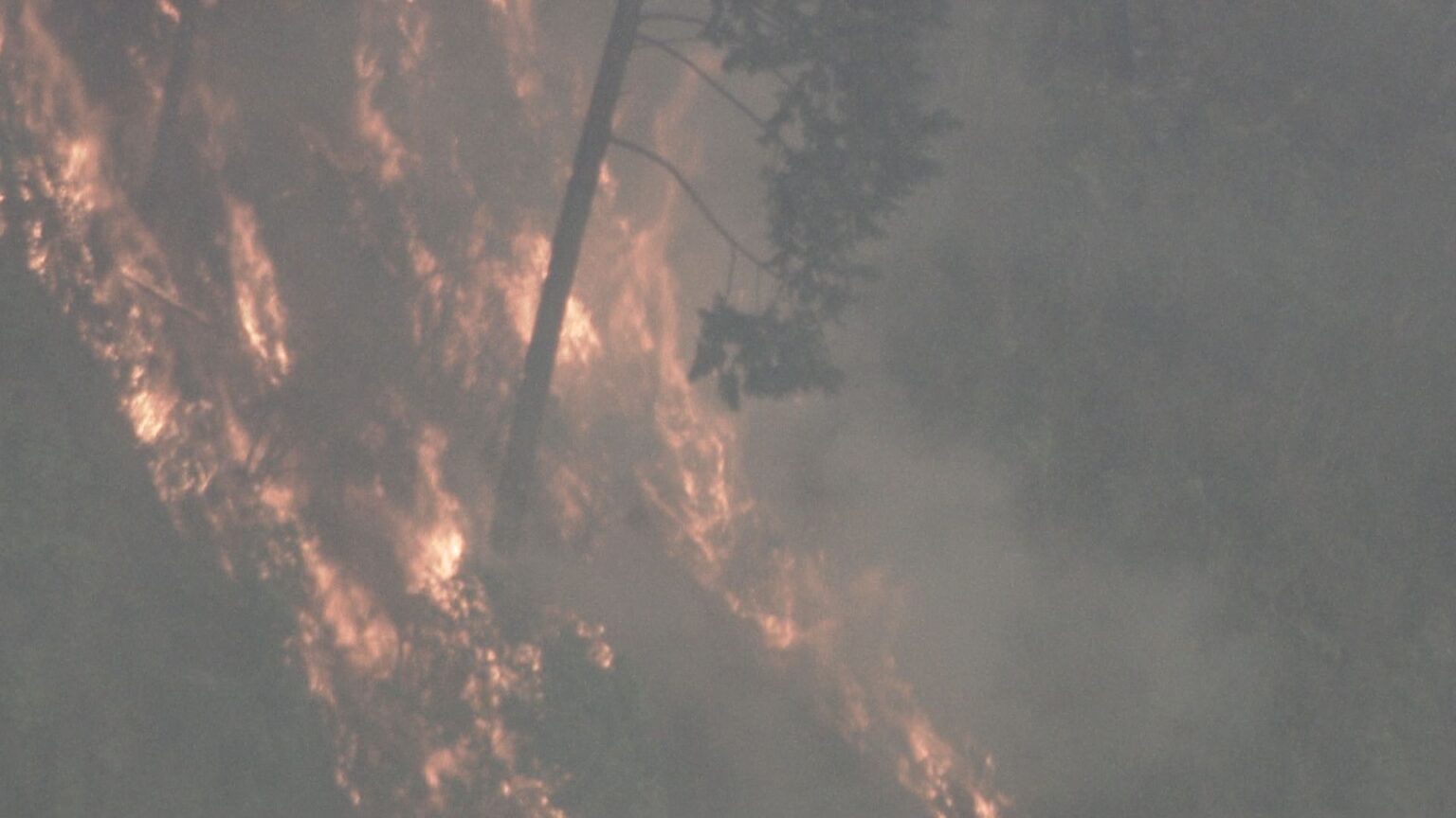 三重・津市の山火事 4日目のきょう午後5時過ぎに「鎮火」 約10ヘクタール焼ける けが人なし 県職員の「派遣基準」見直しへ(CBCテレビ) 三重・津市の山火事 4日目のきょう午後5時過ぎに「鎮火」 約10ヘクタール焼ける けが人なし 県職員の「派遣基準」見直しへ(CBCテレビ)